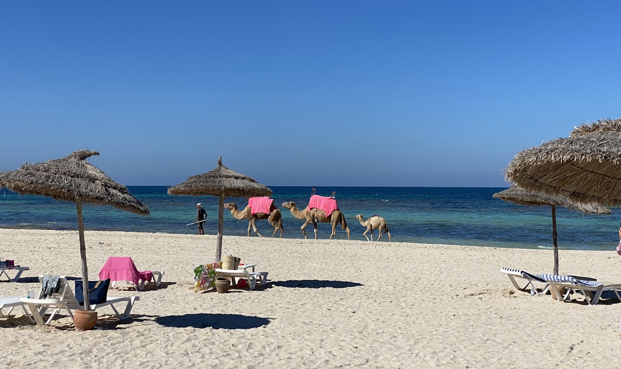 Djerba — people on beach during daytime