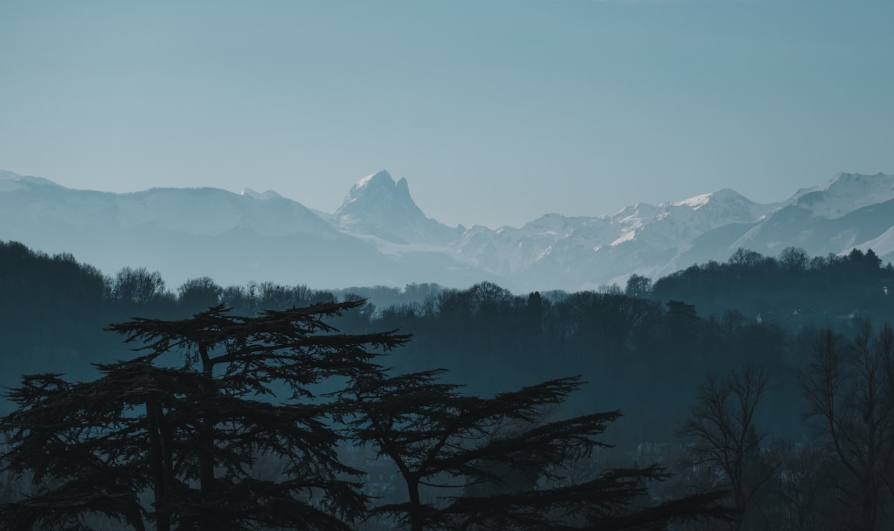 Pau — a view of a mountain range with trees in the foreground